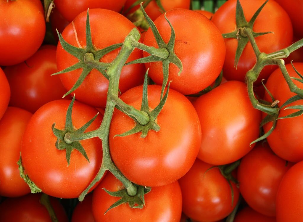 paradajz lekovitost